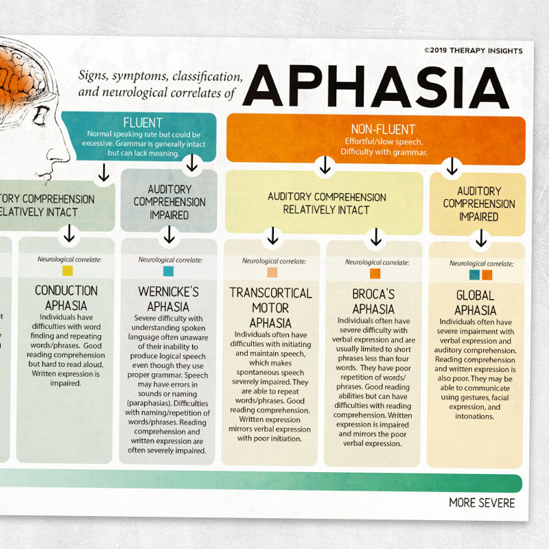 Handout Types Of Aphasia And Their Neurological Correlates In Hot Sex