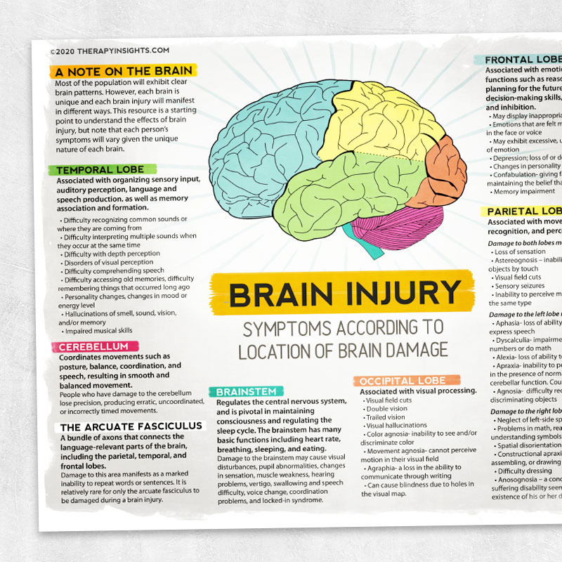 Brain Injury Symptoms According To Location Of Brain Damage Adult And