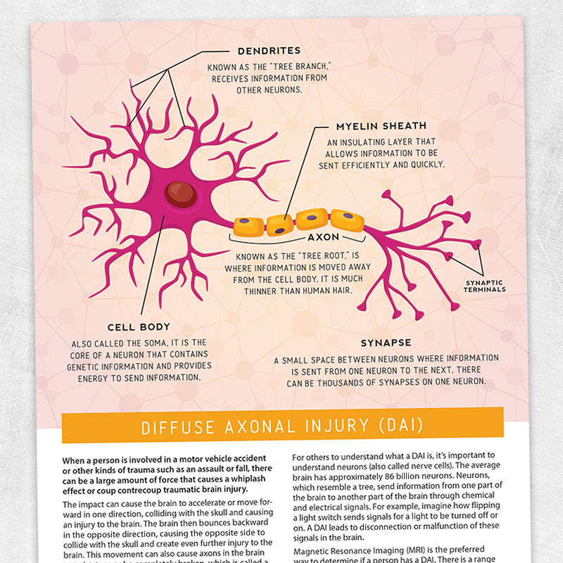 What Happens When You Have Diffuse Axonal Injury