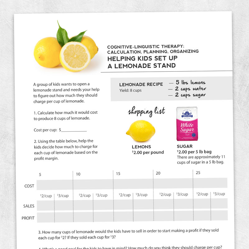 how to write a business plan for a lemonade stand