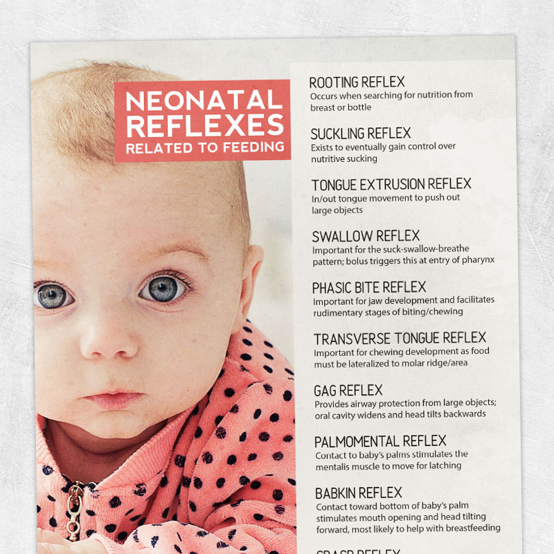 neonatal-reflexes-related-to-feeding-printable-handouts-for-speech