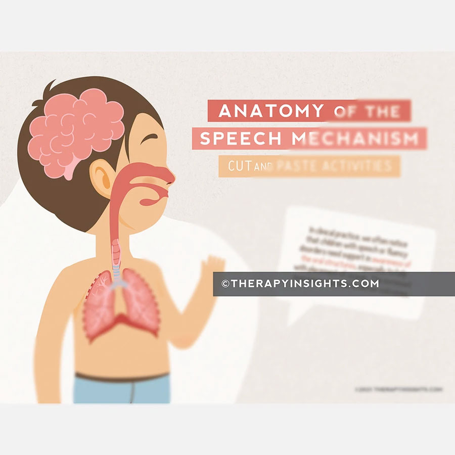 meaning of speech mechanism
