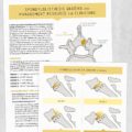 Physical therapy printable handout: Spondylolisthesis grading and management resource for clinicians