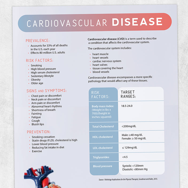 Physical and occupational therapy printable handout: Cardiovascular disease