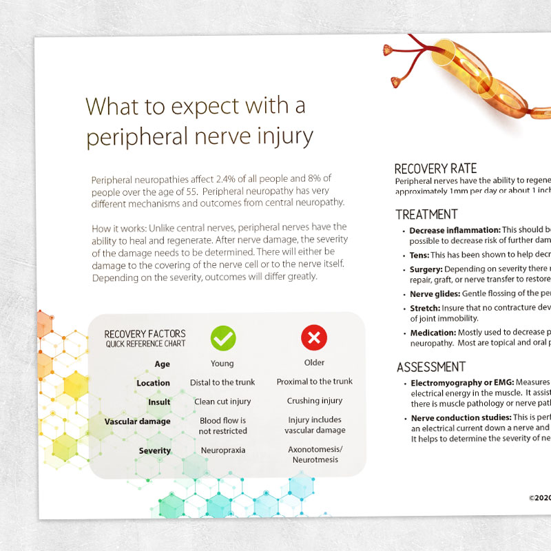 Physical and occupational therapy printable handout: What to expect with a peripheral nerve injury