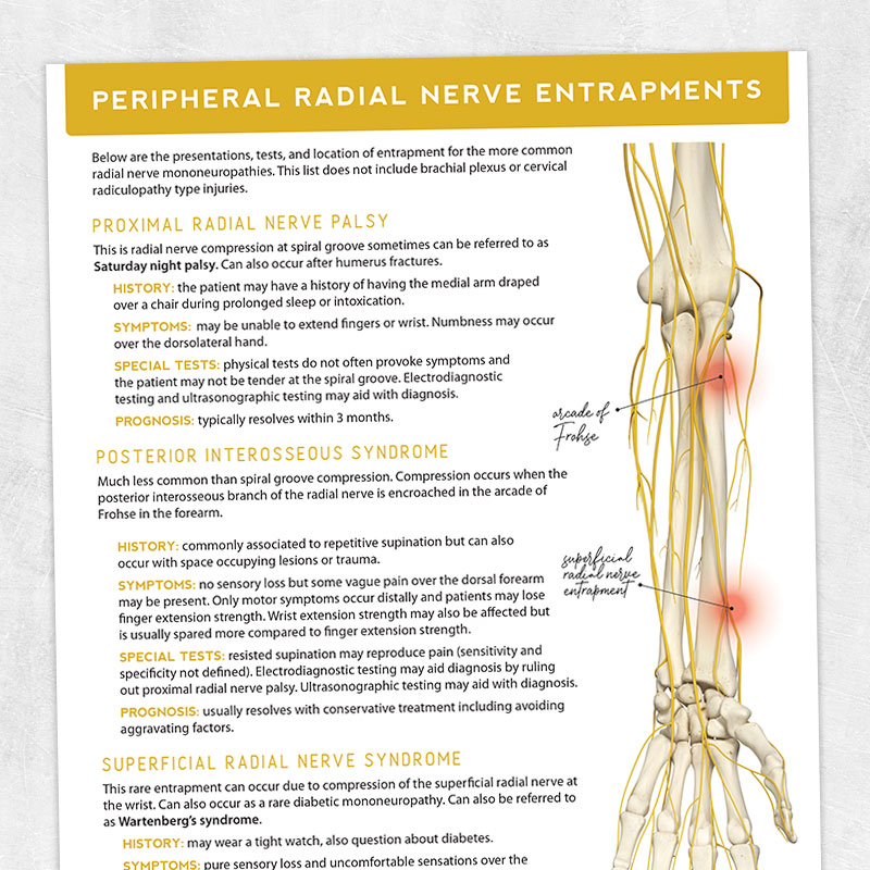 Physical therapy printable handout: Peripheral radial nerve entrapments