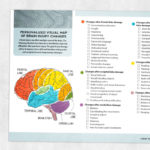 Speech, occupational, and physical therapy printable handout: Visual map of brain injury changes