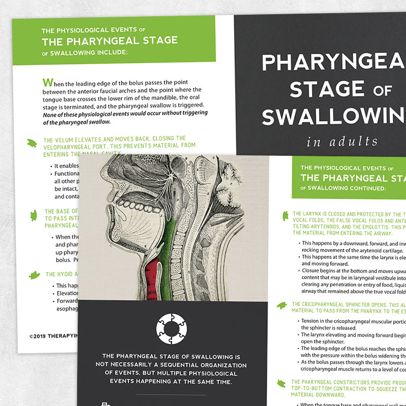Dysphagia printable handout for med SLP: Pharyngal stage of swallowing