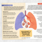 OT and PT printable: Pulmonary and respiratory diagnoses