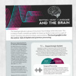 Med SLP - adult speech therapy printable handout: Rhythm, music, language, and the brain
