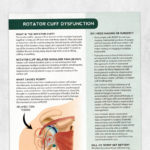 Physical therapy printable handout: Rotator cuff dysfunction