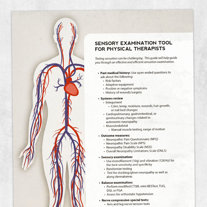 Physical therapy printable resource: Sensory exam tool