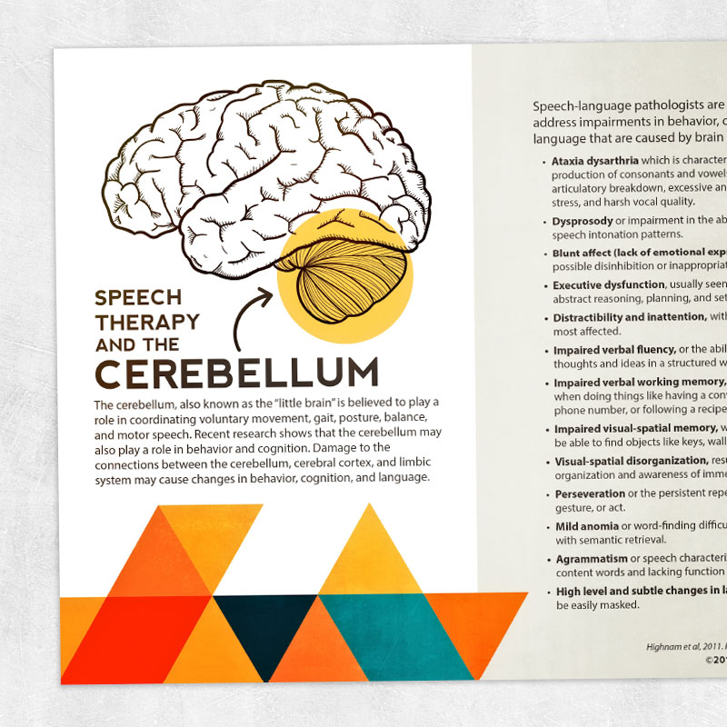 Med SLP - adult speech therapy printable: Speech therapy and the cerebellum