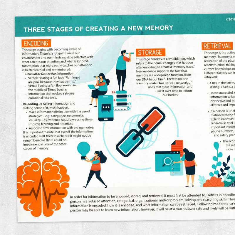 Three Stages of Creating a New Memory Adult and pediatric printable