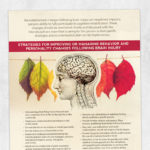 Med SLP printable handout: Strategies for improving or managing behavior and personality changes following brain injury