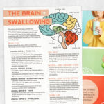 Dysphagia printable handout: The brain and swallowing