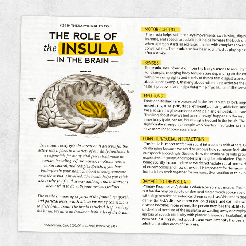 Med SLP printable handout: The role of the insula in the brain