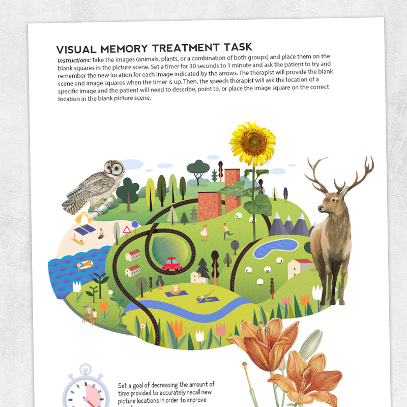Med SLP - adult speech therapy printable - Visual memory treatment task