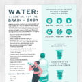 Speech, occupational, and physical therapy printable handout: Water- essential for the brain and body