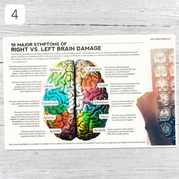 Speech, occupational, physical therapy poster - 10 major symptoms of right vs left brain damage