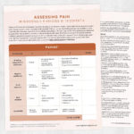 Physical, occupational, and speech therapy printable resource: Assessing pain in individuals with dementia