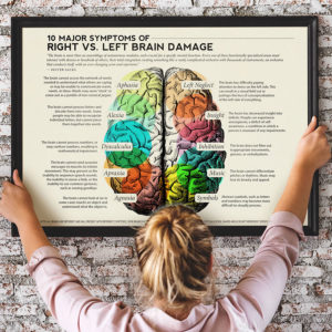 Speech, occupational, physical therapy poster - 10 major symptoms of right vs left brain damage