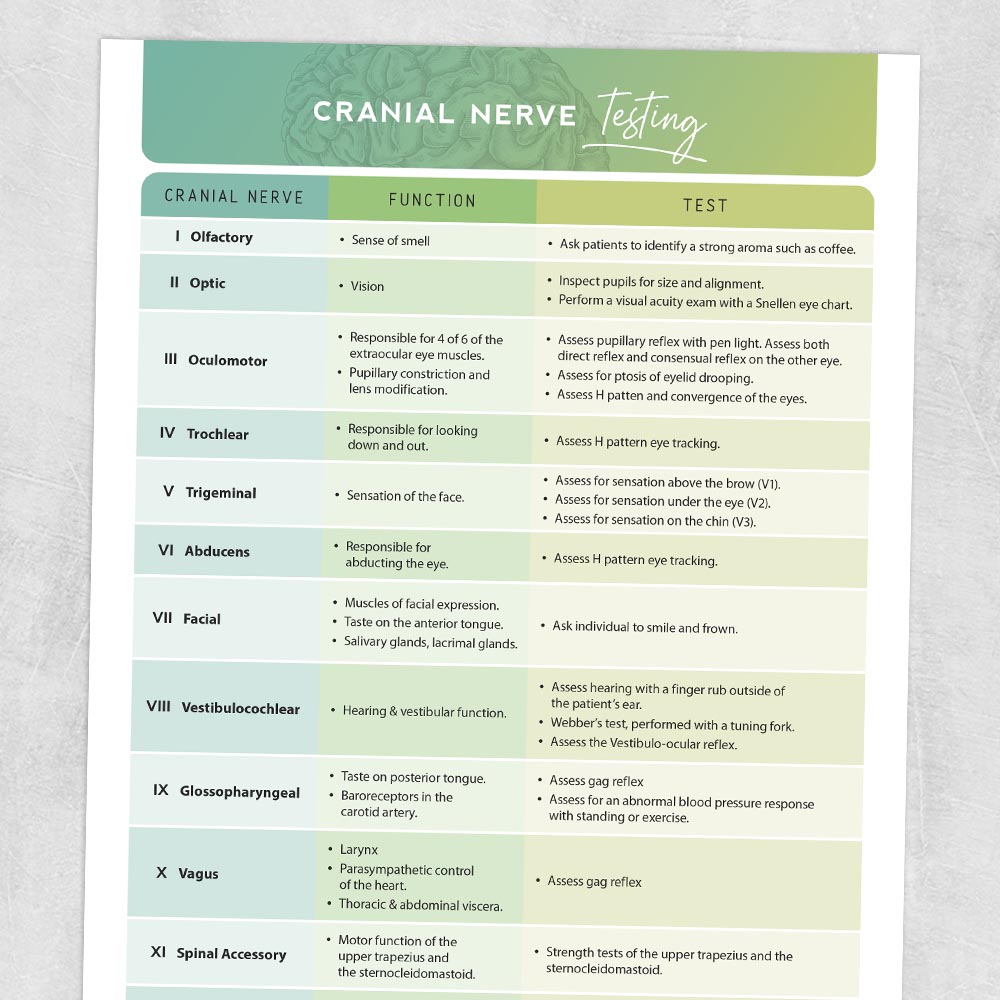 Physical, occupational, and Med SLP resource: Cranial nerve testing