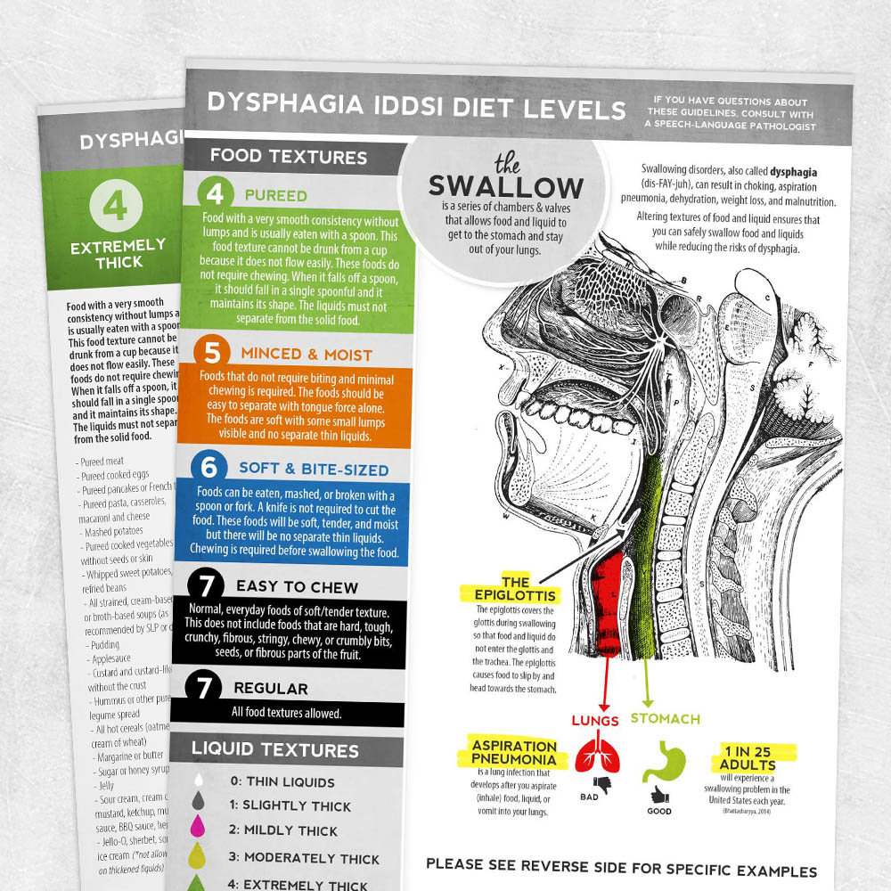 Dysphagia IDDSI Diet Textures Liquids With Visual Of Swallowing Anatomy 